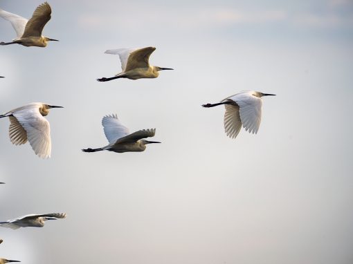 ISA Seminarwoche auf der Insel Rügen vom 20.-26. Sep 2026